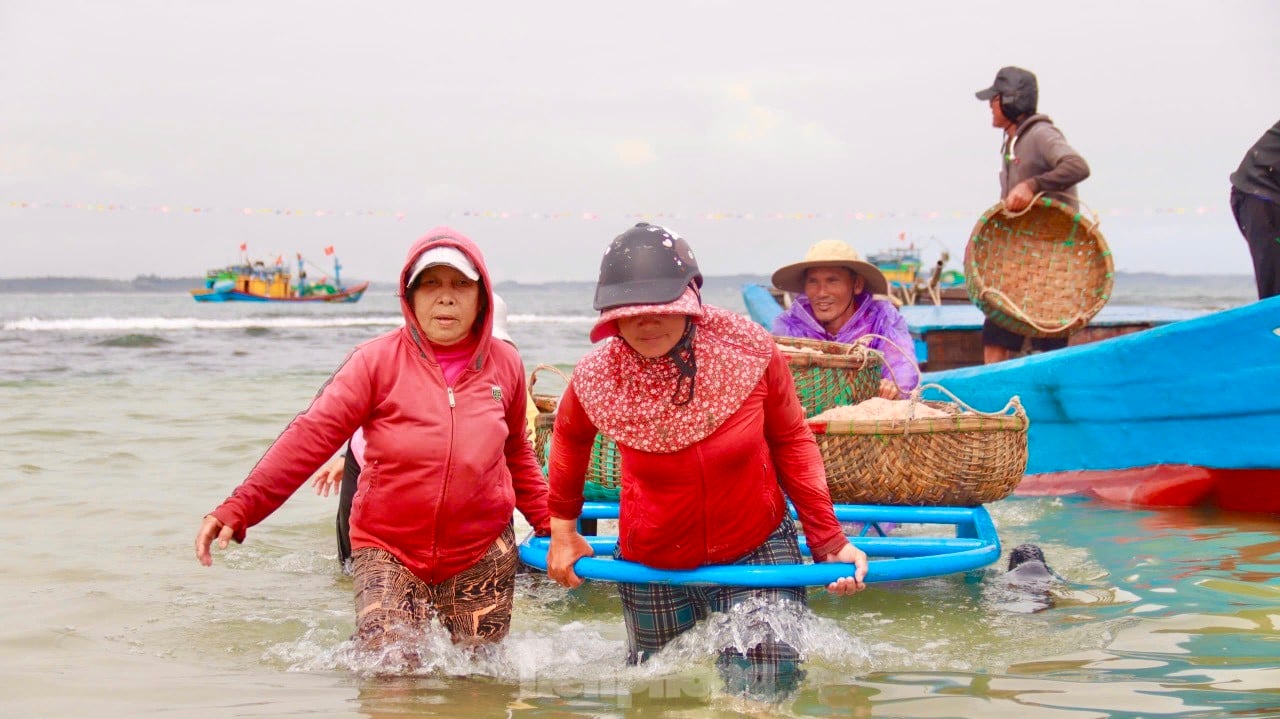 Les pêcheurs de Quang Ngai ont une récolte abondante de crevettes de mer, « gagnant bien » des millions de dongs chaque jour. Photo 7