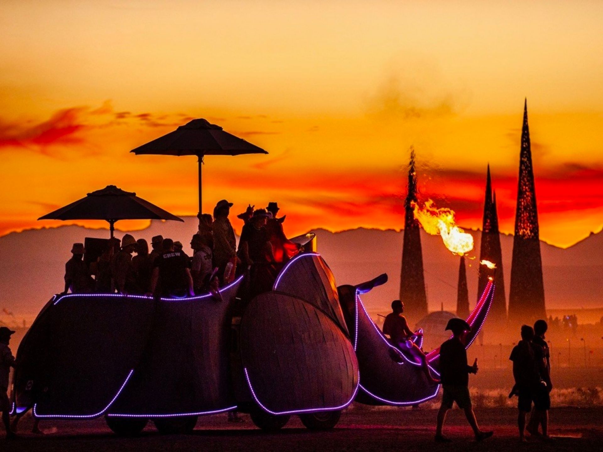 Top 5 Festivals in South Africa: Unique Cultural Events Not to Be Missed