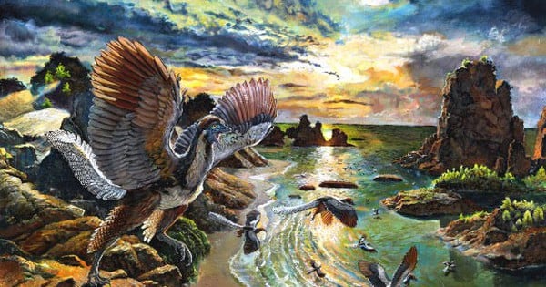 150 million year old bird dragon discovered that resembles a mythical monster