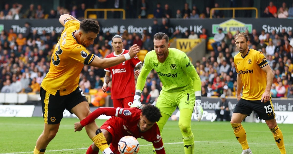 Comments and predictions for Liverpool vs Wolverhampton: The home team is too strong