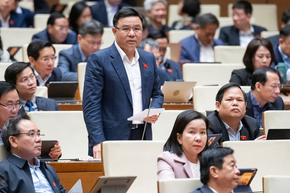 国会議員レ・マン・フン氏（カマウ省国会議員団） - 写真：Media.quochoi.vn