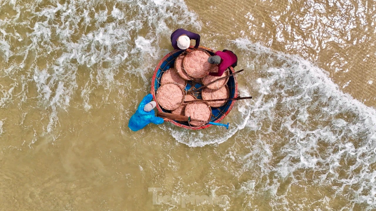 Les pêcheurs de Quang Ngai ont une récolte abondante de crevettes de mer, « gagnant bien » des millions de dongs chaque jour. Photo 17