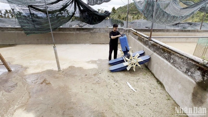 La source d'eau du ruisseau Mat s'épuise, ce qui inquiète de nombreux pisciculteurs d'eau froide de la commune de Ro Men, district de Dam Rong, province de Lam Dong.