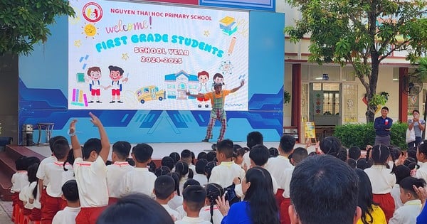 Ho Chi Minh City asks for opinions from 2 ministries regarding the decision on advanced schools and international integration