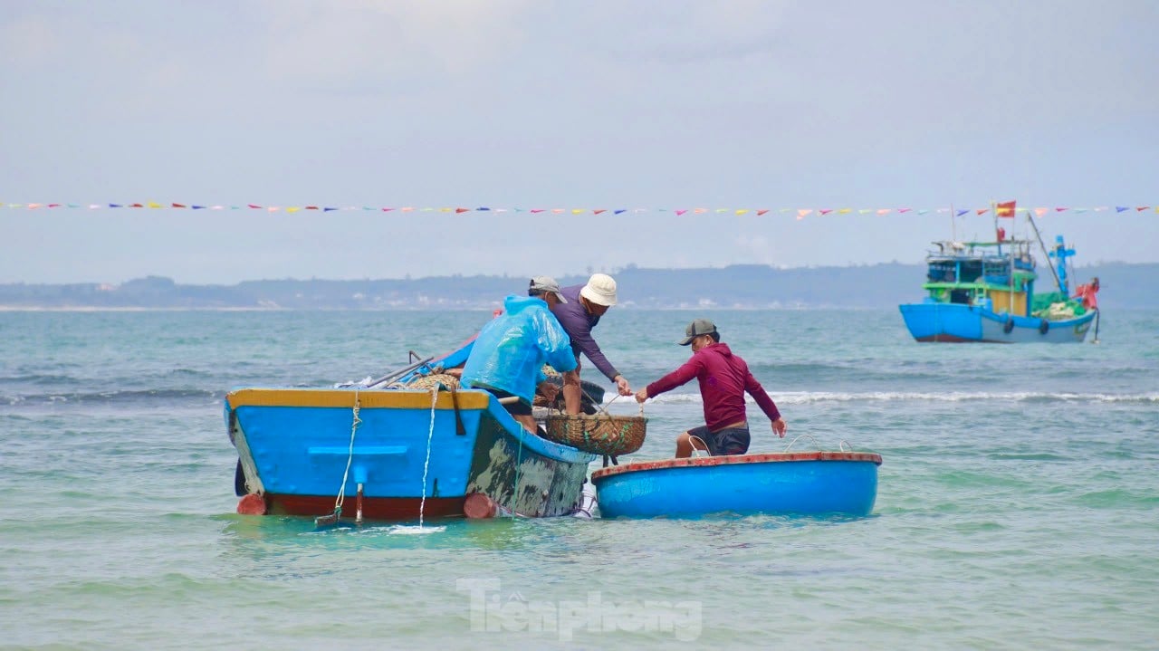 Les pêcheurs de Quang Ngai ont une récolte abondante de crevettes de mer, « gagnant bien » des millions de dongs chaque jour. Photo 13