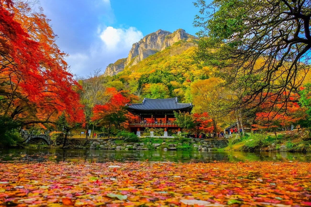 Discover impressive autumn tourist destinations in Korea