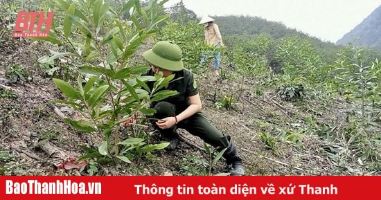 Ứng dụng khoa học và công nghệ trong chọn tạo giống cây trồng