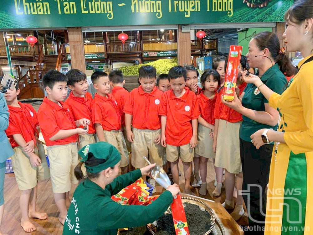 Để tuổi thơ thấm đẫm hương chè