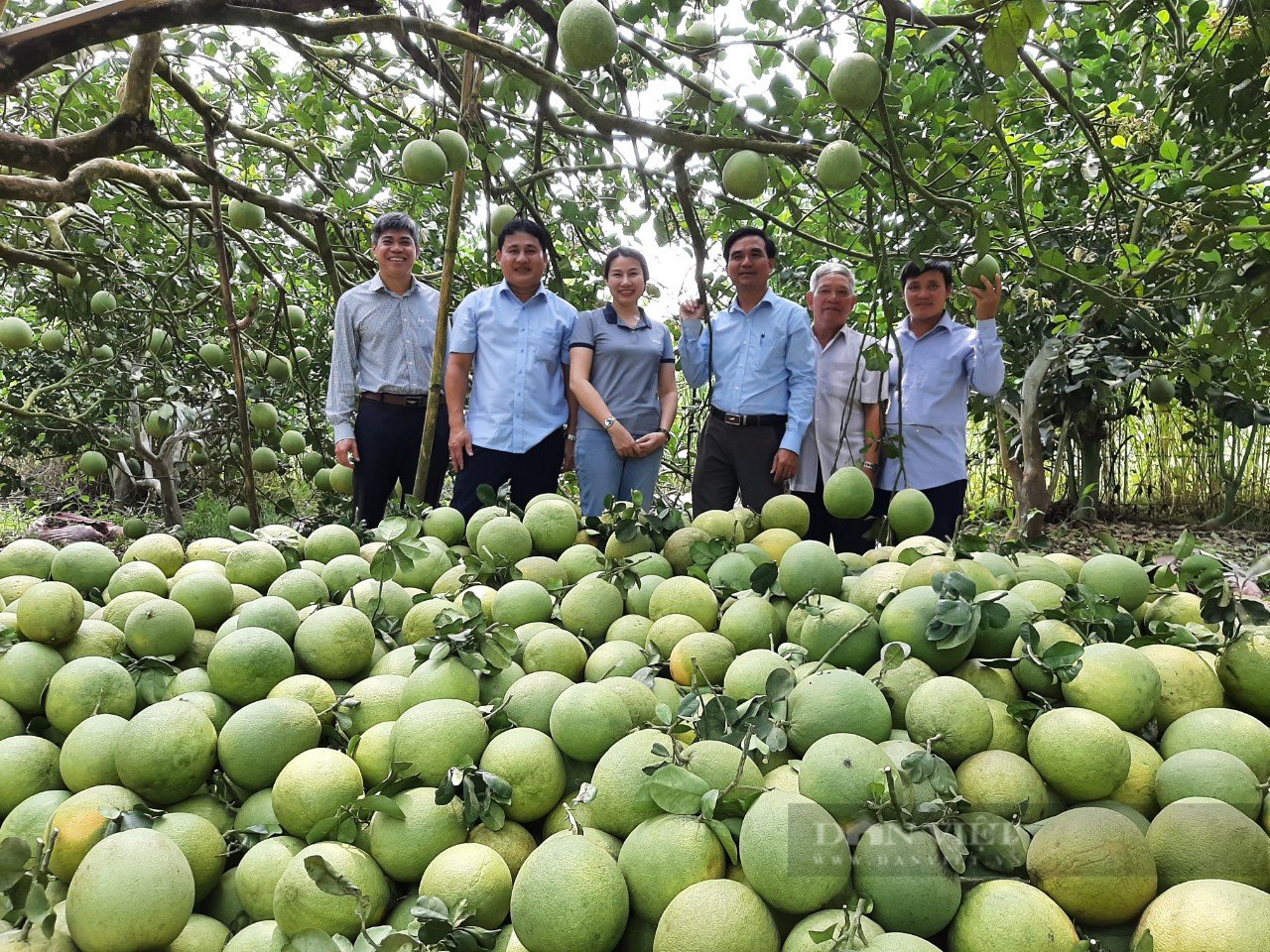 Nông dân Bình Phước không chỉ vay vốn để thoát nghèo, còn làm giàu cho địa phương - Ảnh 6.