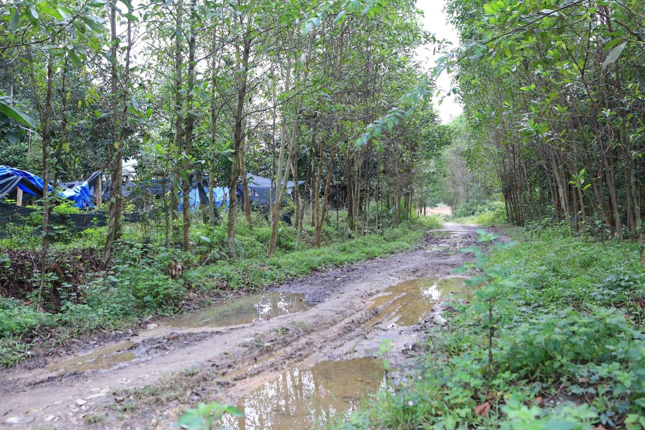 Beim Hochwasserschutzprojekt in Tien Phuoc gibt es viele Probleme bei der Räumung des Geländes. Foto von : SUCCESS