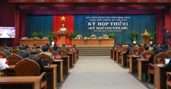 Binh Dinh has 14 specialized agencies under the Provincial People's Committee.