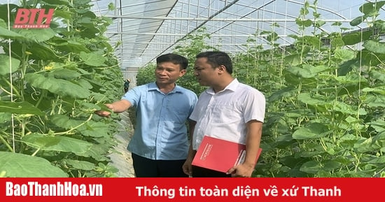 Firmly carry out the mission of developing "Tam Nong"