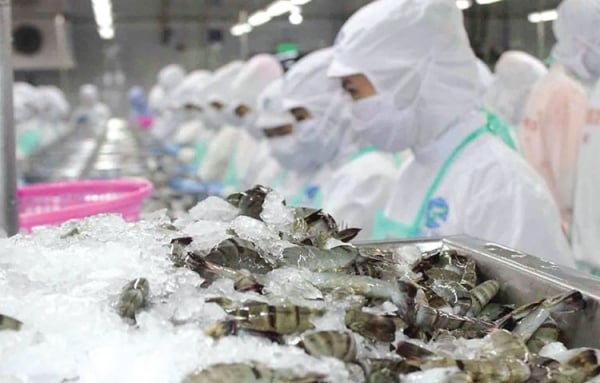 January 2025, seafood exports to China increased by 80.8%