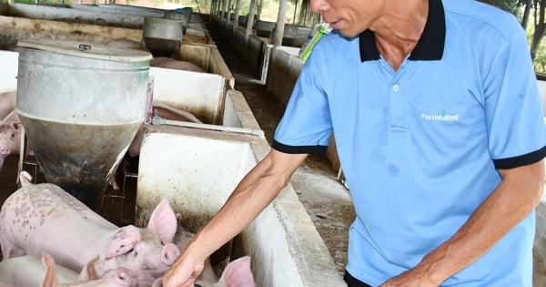 هذه نماذج جديدة للزراعة، وثروة حيوانية جديدة، وطرق جديدة للقيام بالأشياء لمساعدة المزارعين في بينه فوك على أن يصبحوا أكثر ازدهارًا.