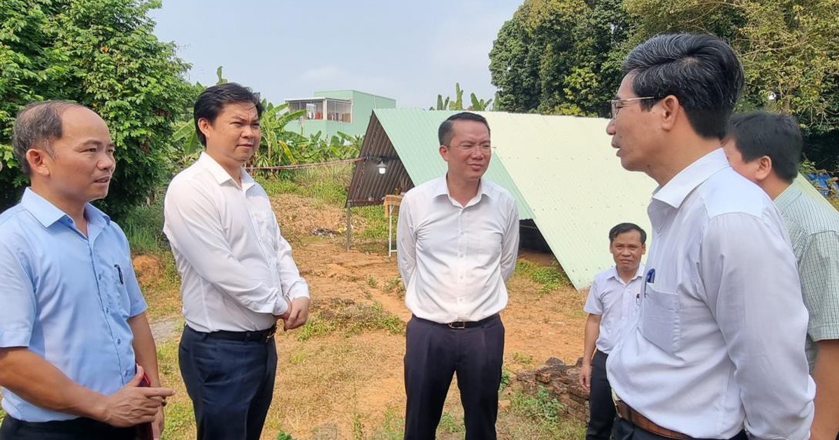 Da Nang investiert Hunderte Milliarden Dong in kulturelle Projekte