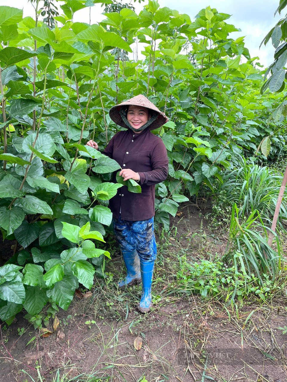 Nông dân Bình Phước không chỉ vay vốn để thoát nghèo, còn làm giàu cho địa phương - Ảnh 2.