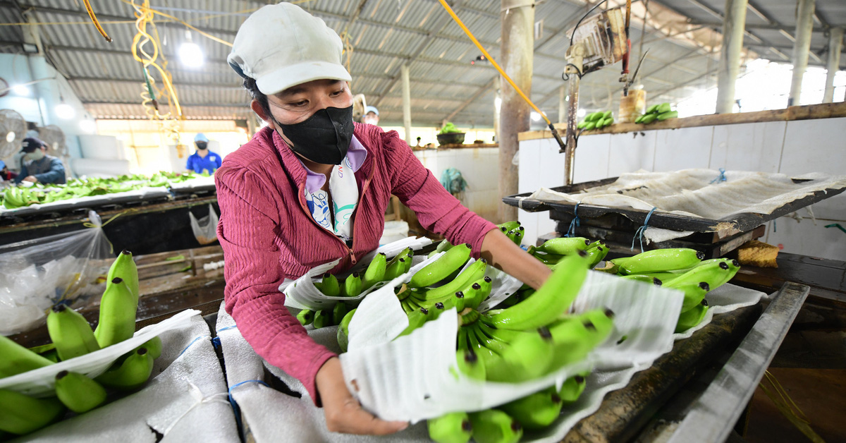 El BAD aumenta su financiación a 36.000 millones de dólares