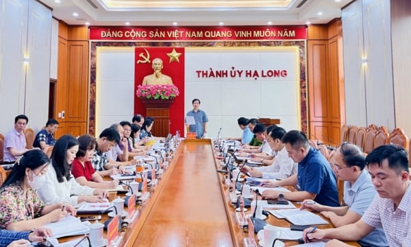 Ha Long City Party Committee: Focusing intelligence and enthusiasm on building Congress documents