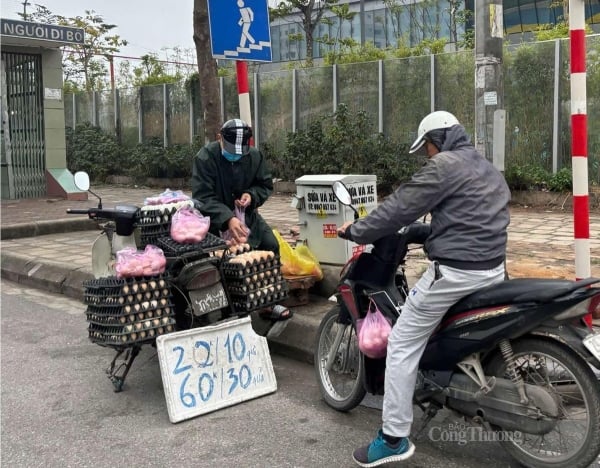 계란 가격 급락