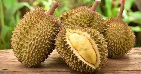 Low prices, durian exports decrease, concerns about durian consumption before the main season