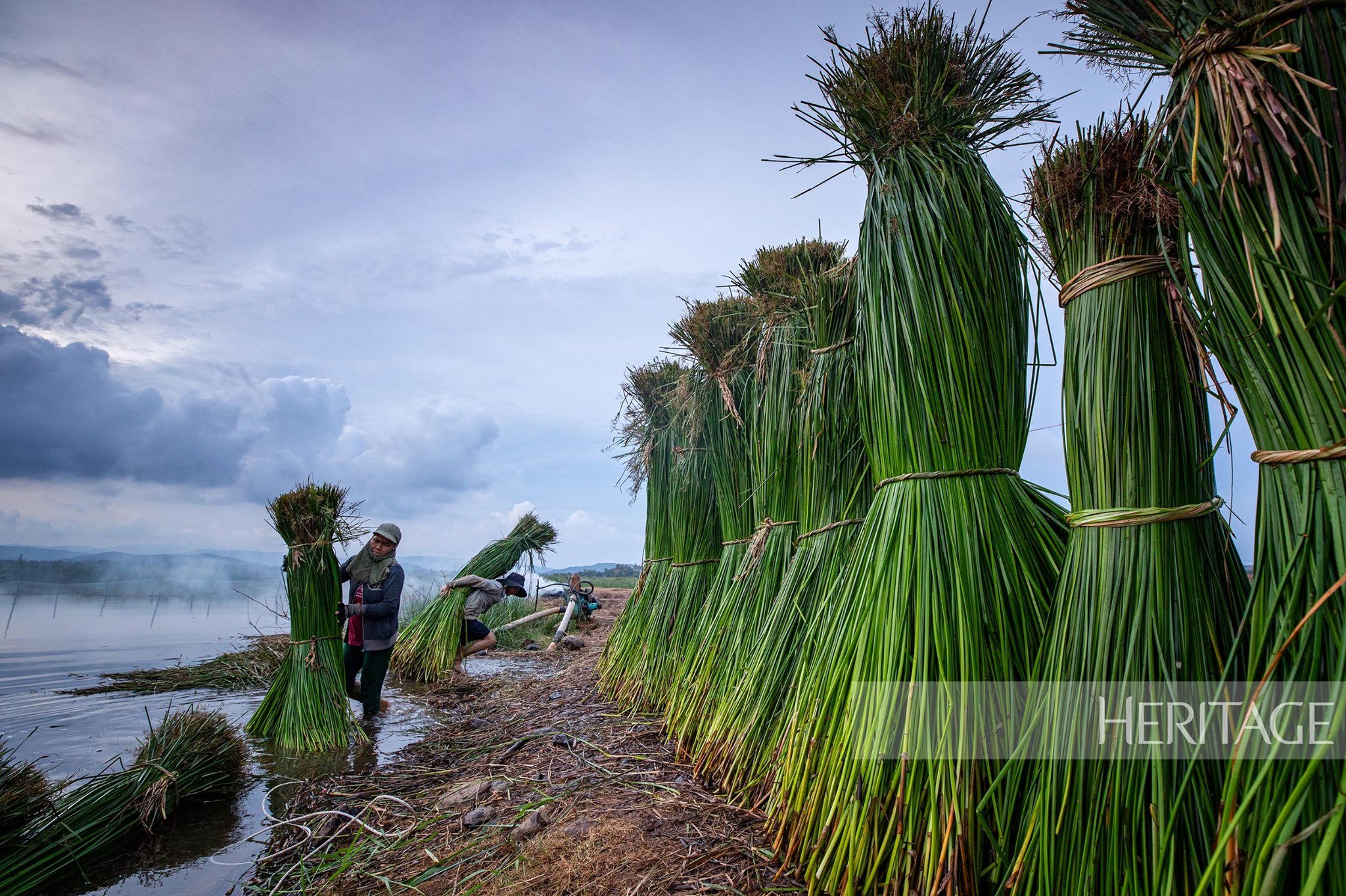 Aldea centenaria de fabricación de esteras de juncia en Phu Yen