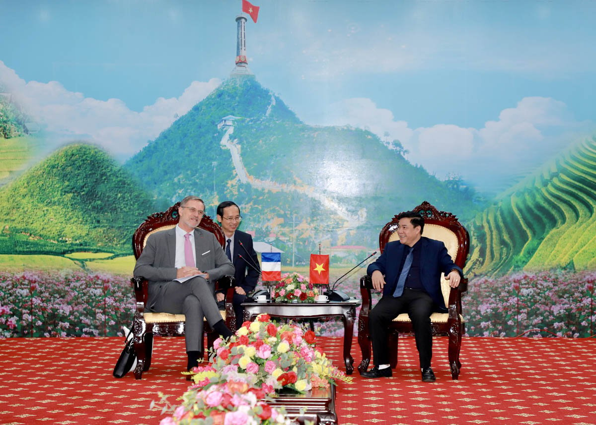 Permanent Vice Chairman of the Provincial People's Committee Hoang Gia Long received the Ambassador Extraordinary and Plenipotentiary of the French Republic