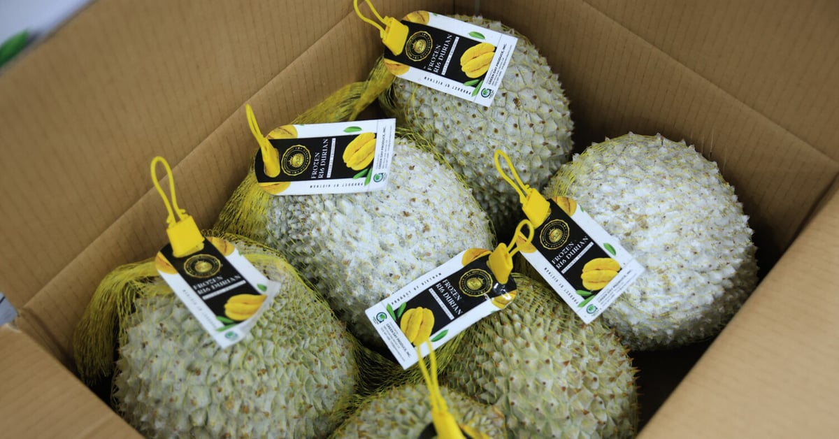 Der überraschende Grund, warum Vietnam keine gefrorenen Durian nach China exportieren kann