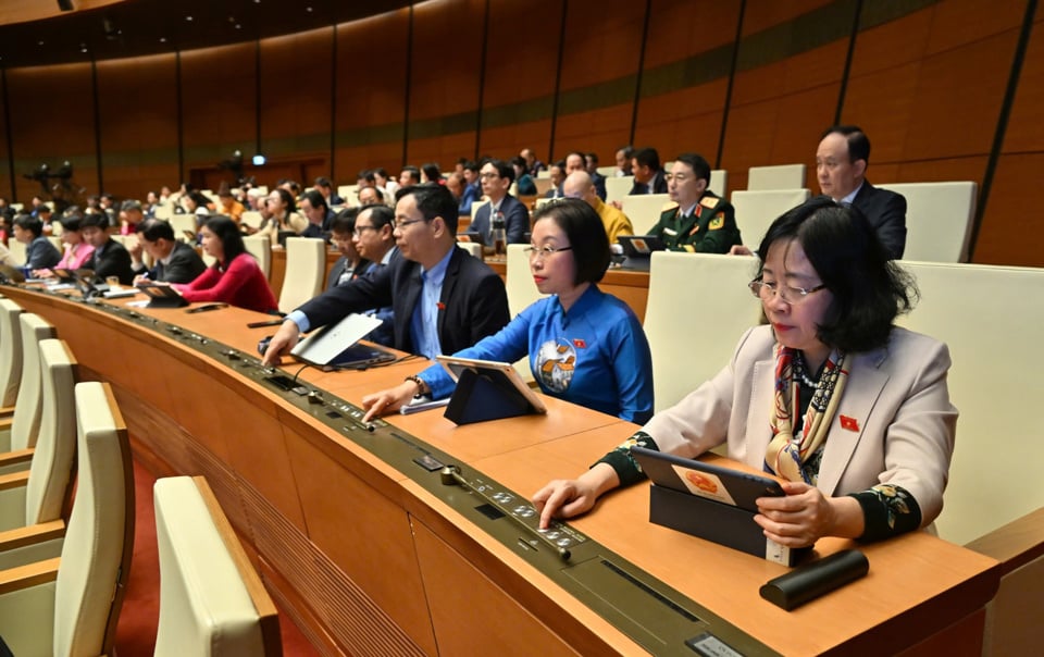 Delegates vote to pass the resolution - Photo: Quang Khanh