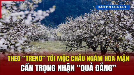 [6pm News] Following the "trend" to Moc Chau to see plum blossoms, be careful to receive "bitter fruit"