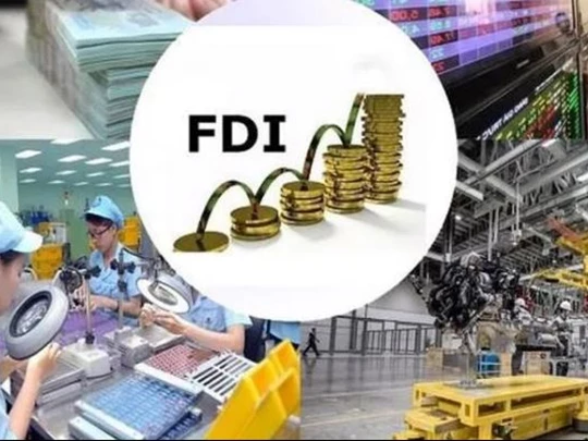 More than half of FDI enterprises report losses