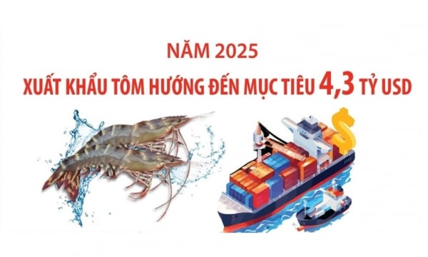 Shrimp exports aim for 4.3 billion USD in 2025