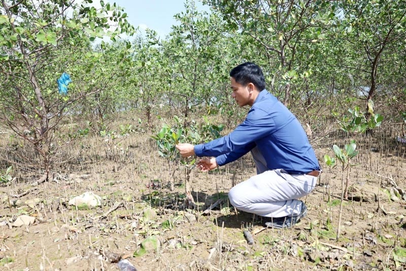 ការពារ និងអភិវឌ្ឍន៍ព្រៃកោងកាងតាមដងទន្លេ Ginh