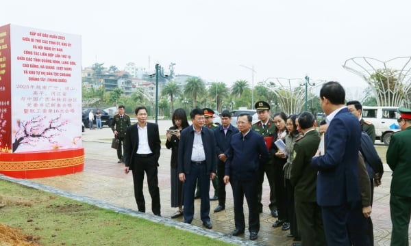 Provincial leaders inspect preparations for the 2025 Spring Meeting program