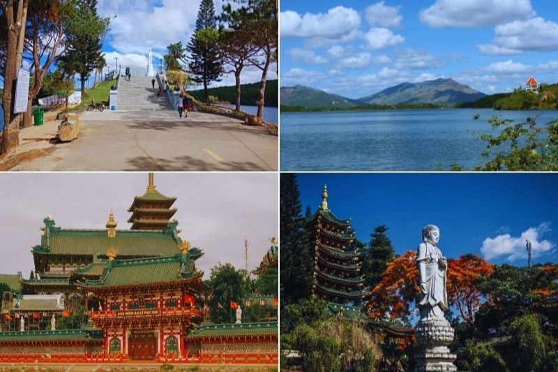 Thanh Hoa tour to the Central Highlands to explore the great forest