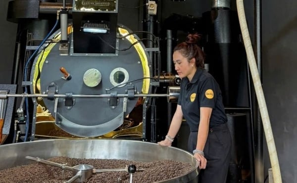 Les prix du café ont diminué de manière uniforme aujourd'hui 19/02/2025