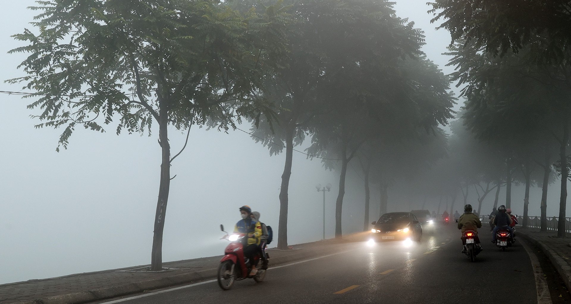 Weather forecast for tomorrow, February 20, 2025: Hanoi has dense fog, drizzle, and cold weather