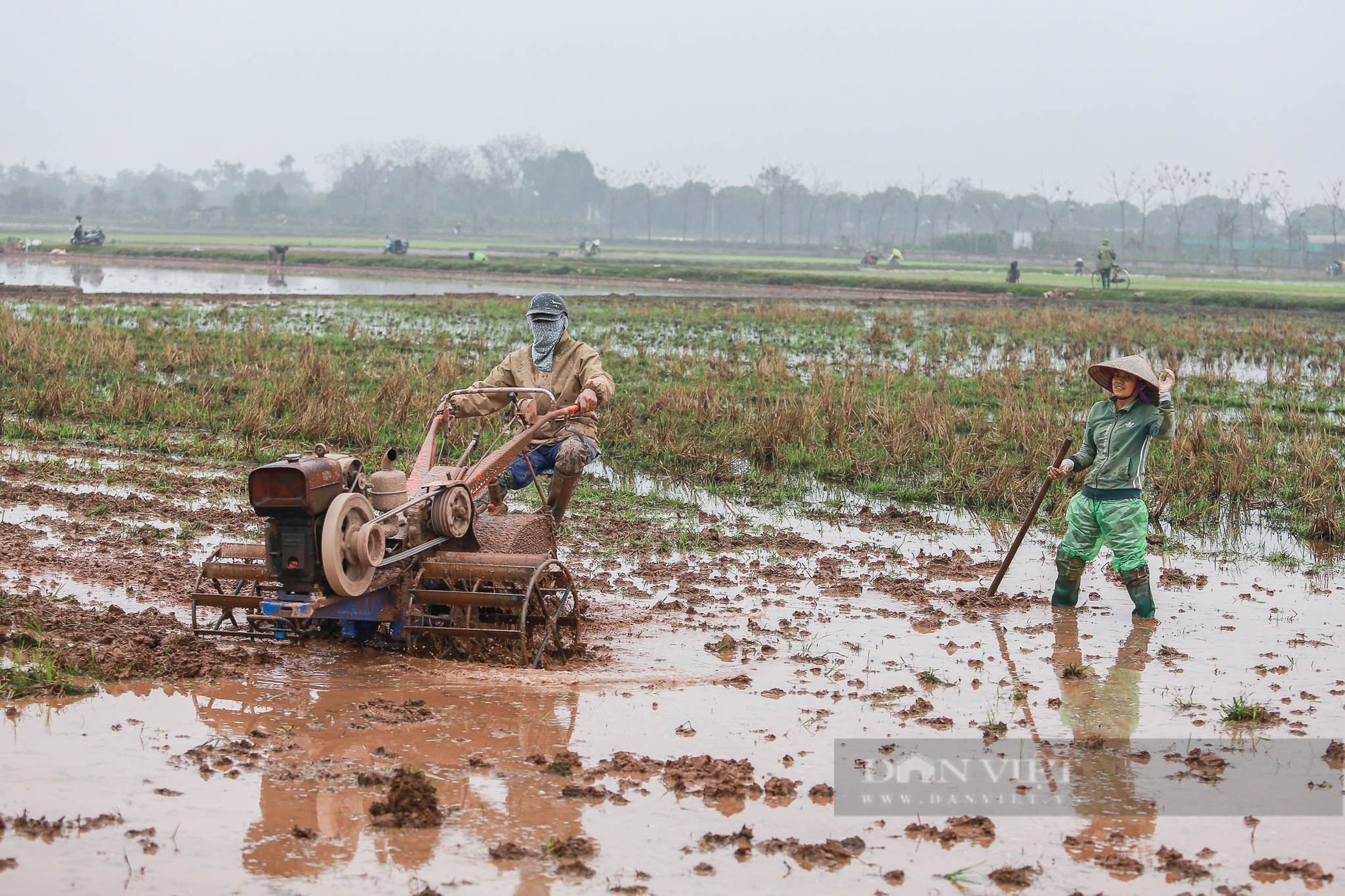 Nông dân ngoại thành Hà Nội mặc áo mưa đi cấy lúa dưới tiết trời lạnh giá- Ảnh 14.