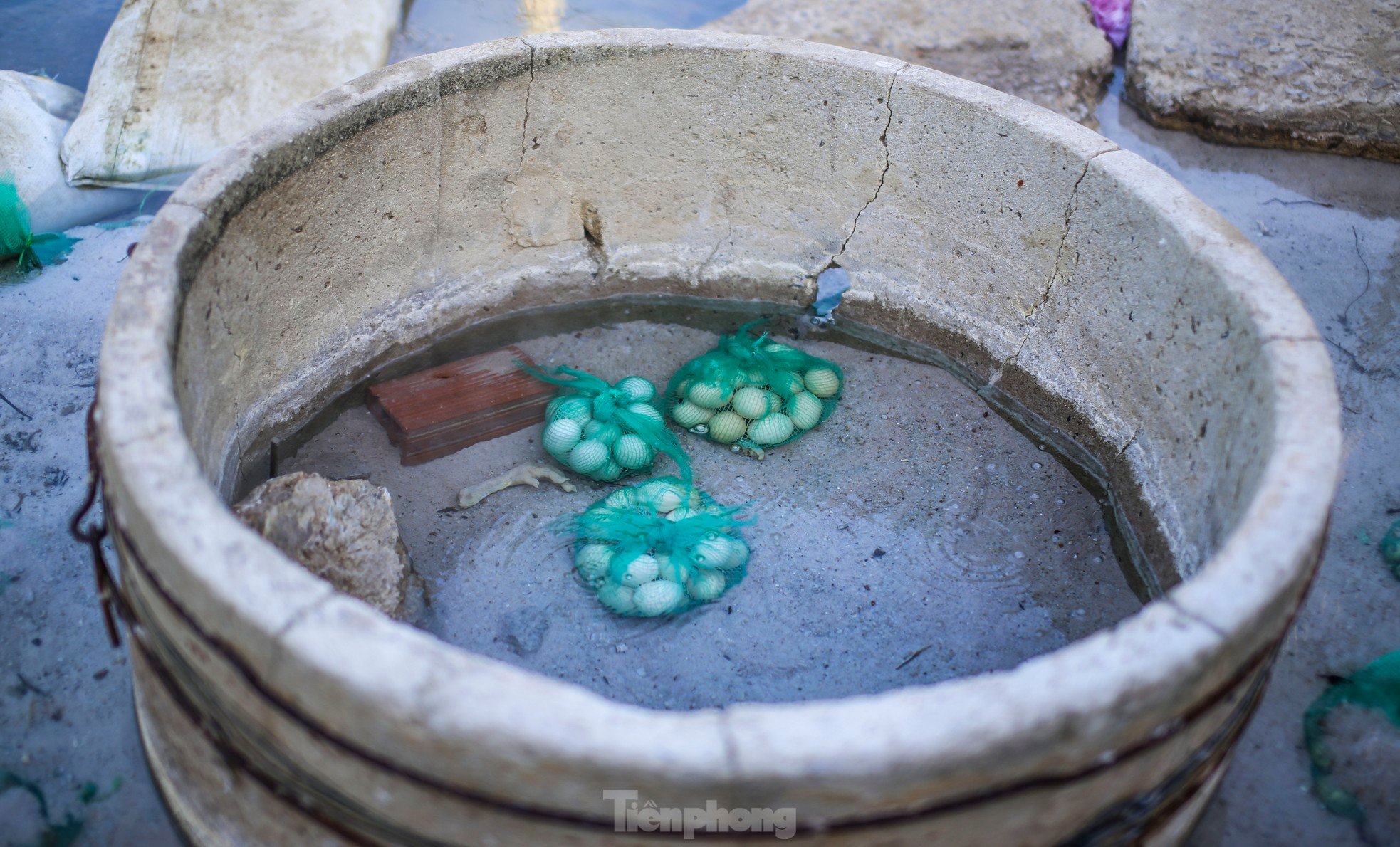 ស្ទ្រីមប្លែកនៅ Binh Dinh ទឹកឆ្អិនពង រូបថត ៥