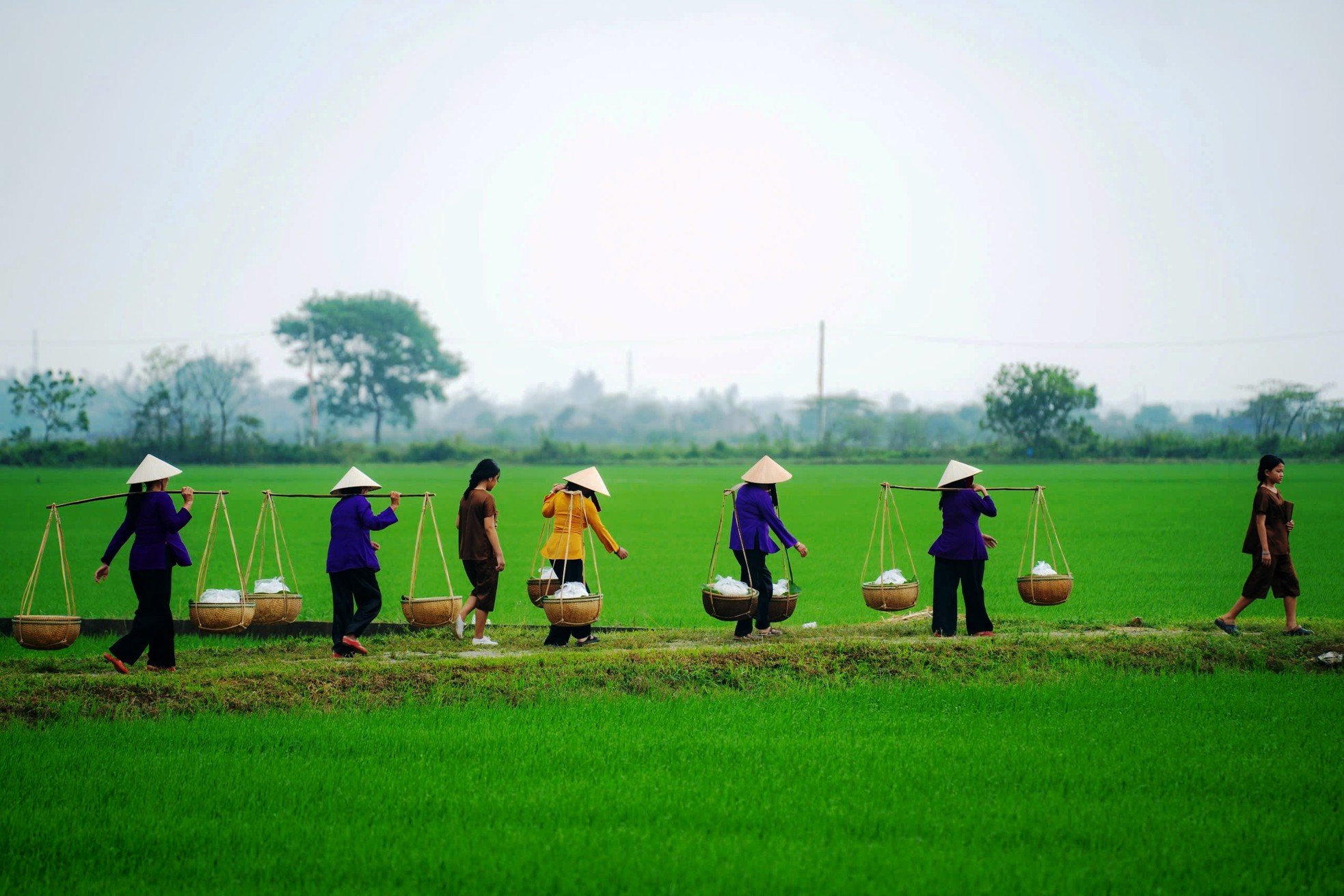 Special day of Hue traditional noodle village photo 13