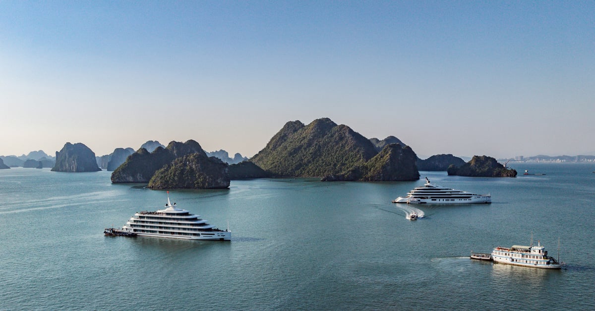 200 world billionaires together create 'billionaire garden' in Ha Long