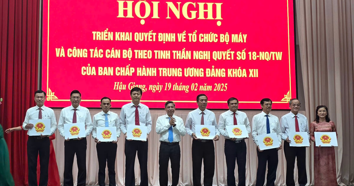 Hau Giang appoints leaders of departments after rearrangement