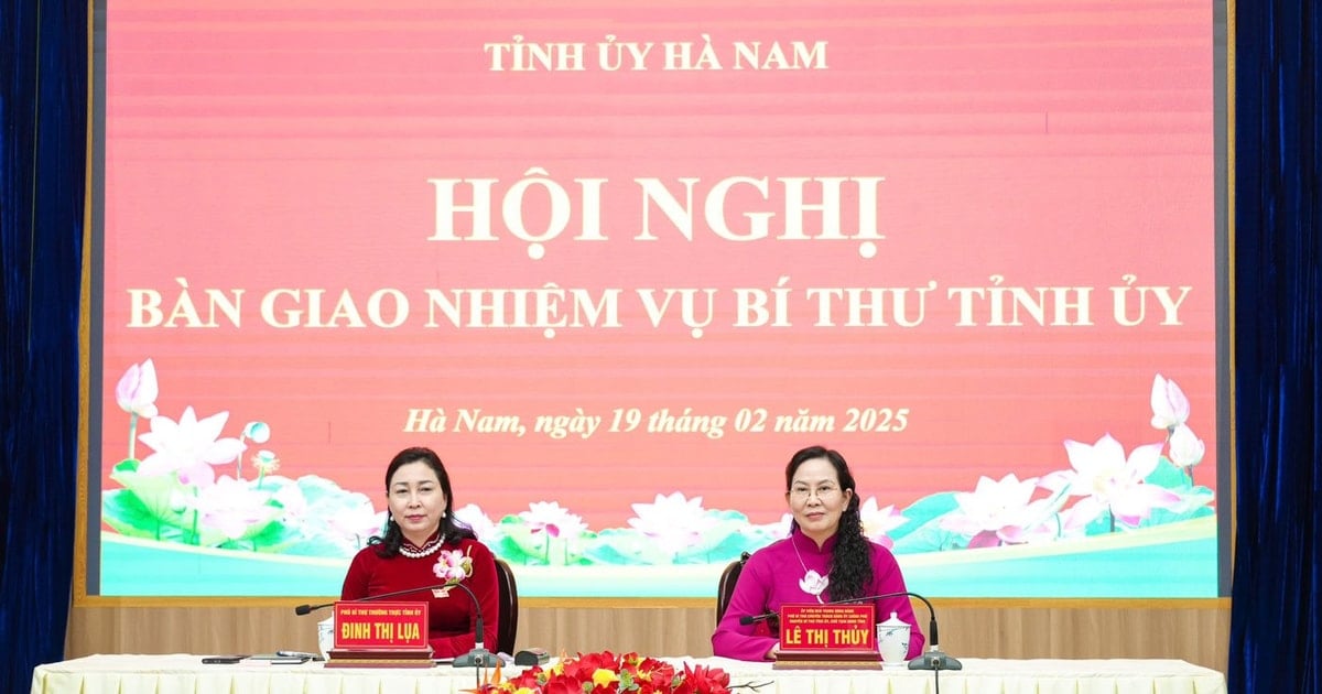 Bà Lê Thị Thủy thôi giữ chức Bí thư Tỉnh ủy Hà Nam