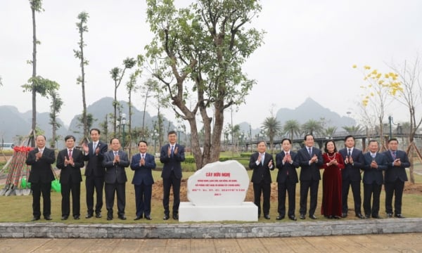 Plantación de árboles de la amistad entre Vietnam y China en el parque de flores de Ha Long