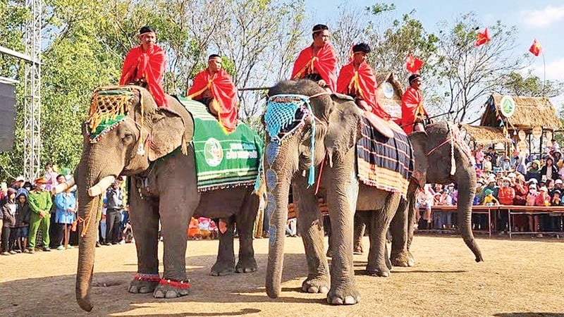 Éléphants participant au festival des éléphants de Buon Don.