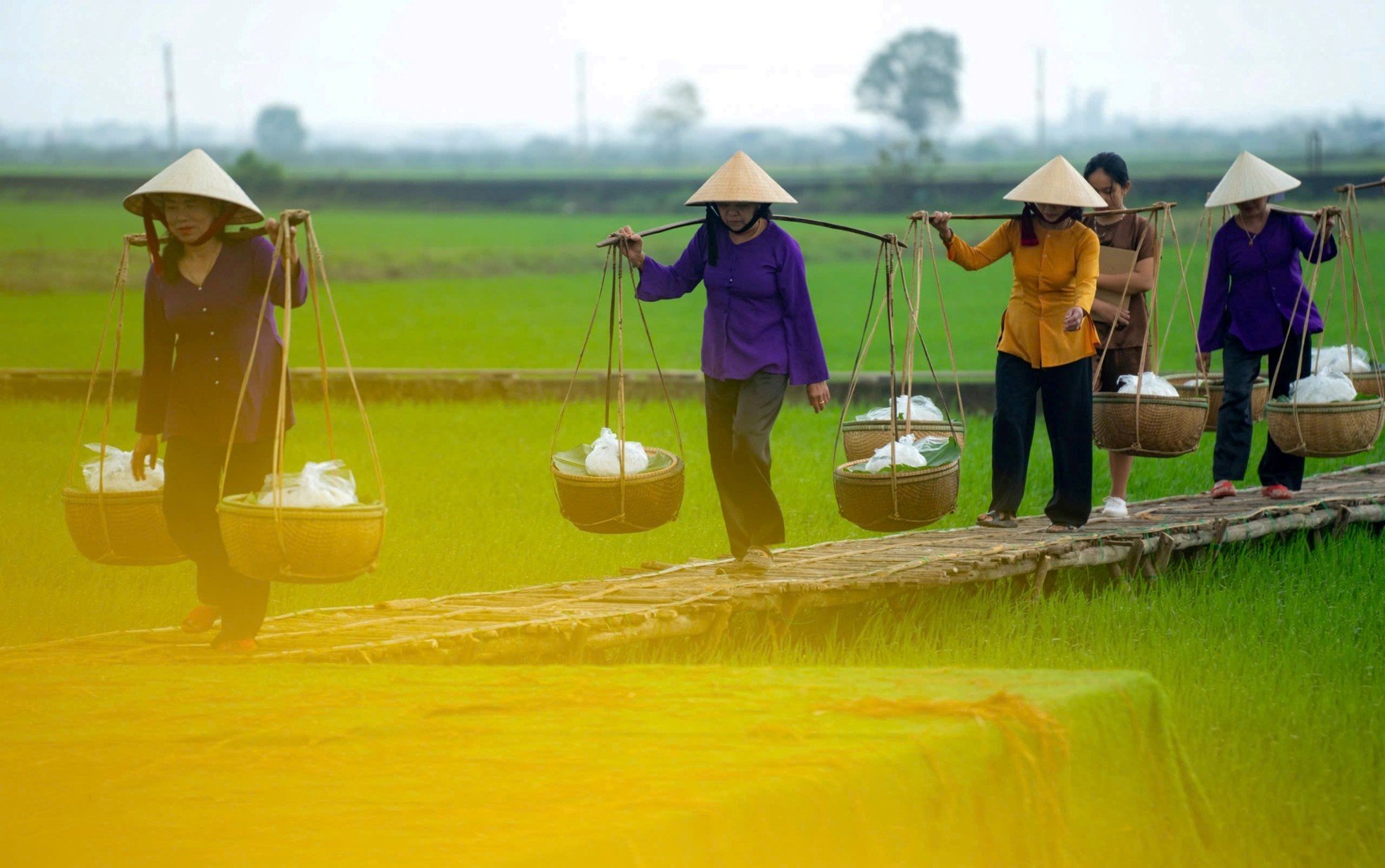 Special day of Hue traditional noodle village photo 11