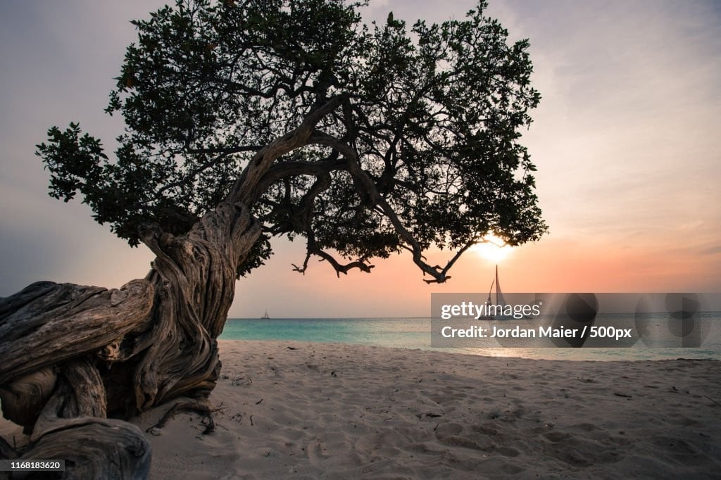 ชายหาดไหนสวยที่สุดในโลก? ภาพที่ 5