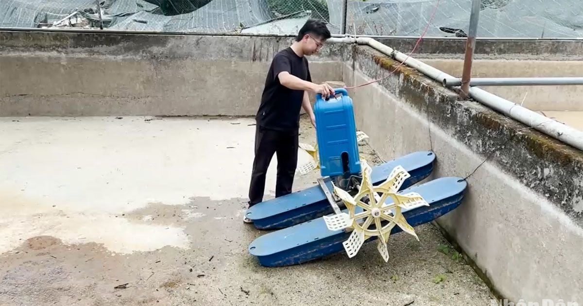 La « capitale » des poissons d’eau froide, Lam Dong, a « soif » d’eau pour élever des poissons.