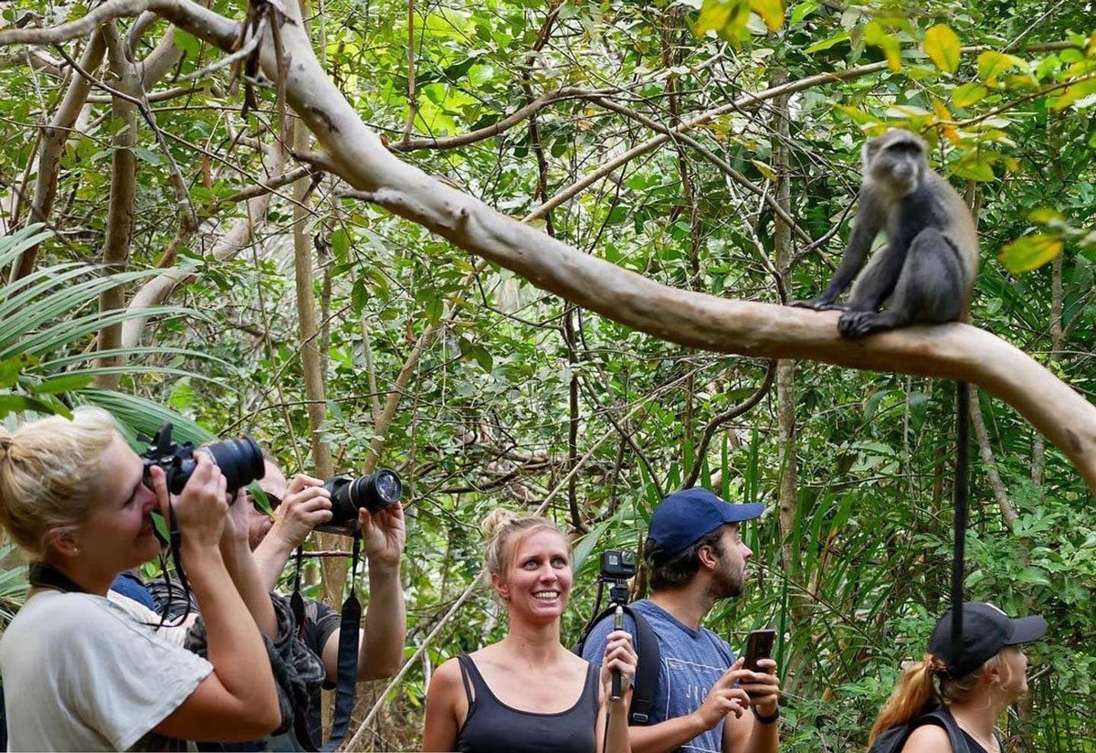 Explore the nature reserves in Zanzibar