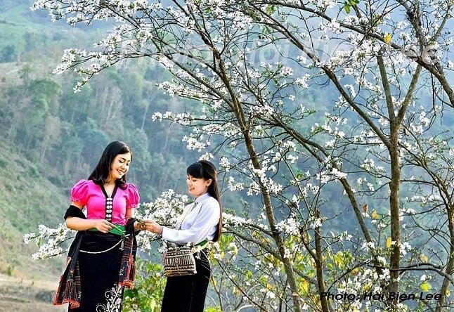 Dien Bien Flower Festival. (Photo: baocongthuong)