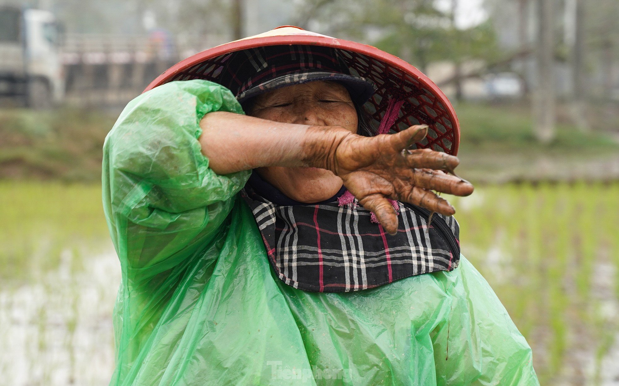 Hanoi farmers wade through rice fields to plant rice in drizzle and cold wind photo 11